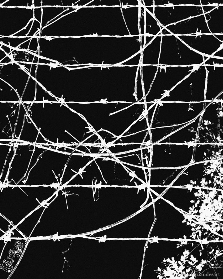 Ellison M. Fernandes tweet media