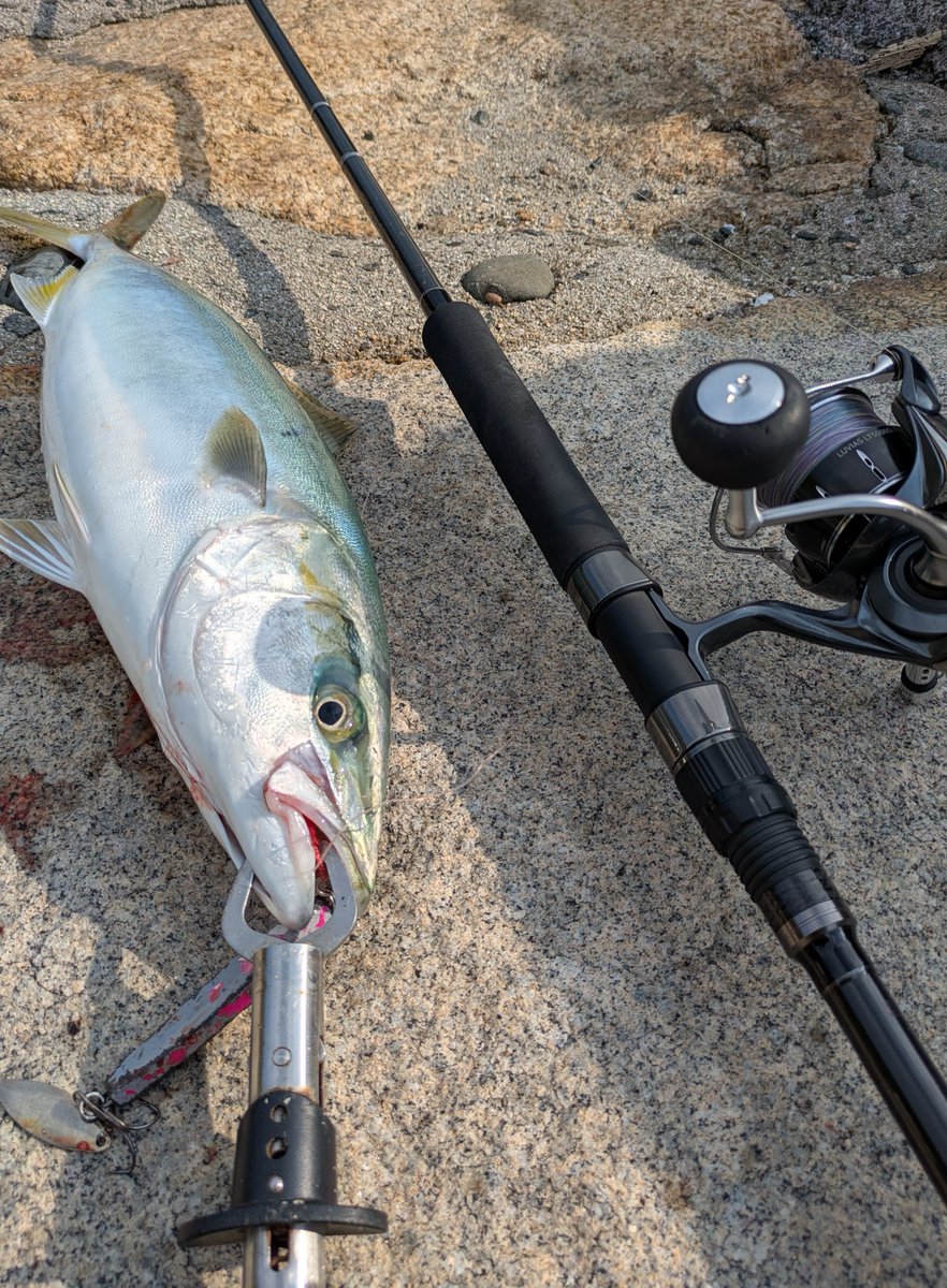 ショアジギング