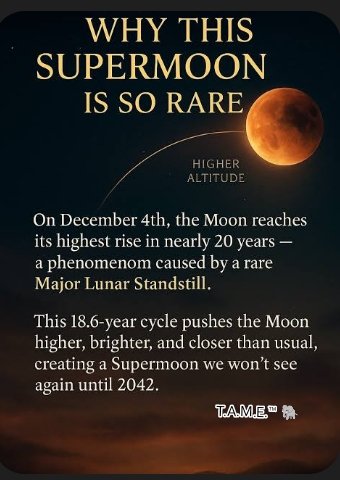 2ksunflower143's tweet image. 