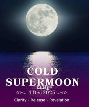 2ksunflower143's tweet image. 