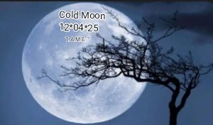 2ksunflower143's tweet image. 