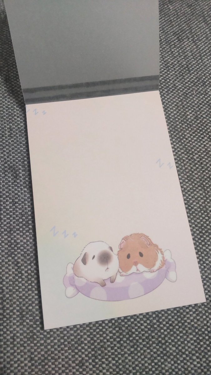 ちぇるフェスのモルモットのメモ帳です😊
宜しくお願いします❤️
#ちぇるフェス