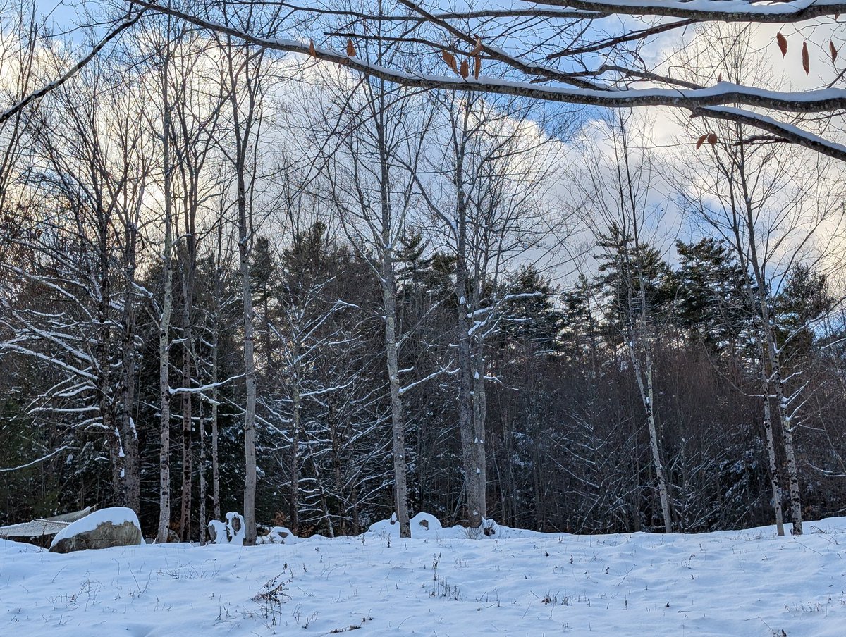 normonics's tweet image. It's hard to articulate how "normal" I feel when there is snow on the ground

Like some kind of chronic tension I've been holding but didn't know it leaves my body and my being 

Think I'll go for my first ski of the season.