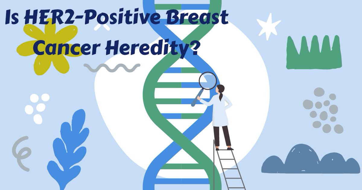 MyBCTeam tweet media