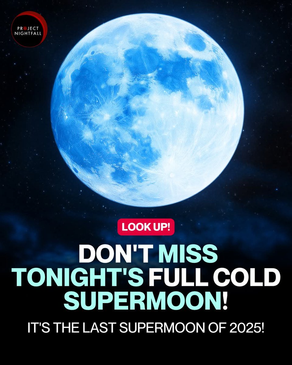 sovonchowdhury6's tweet image. 