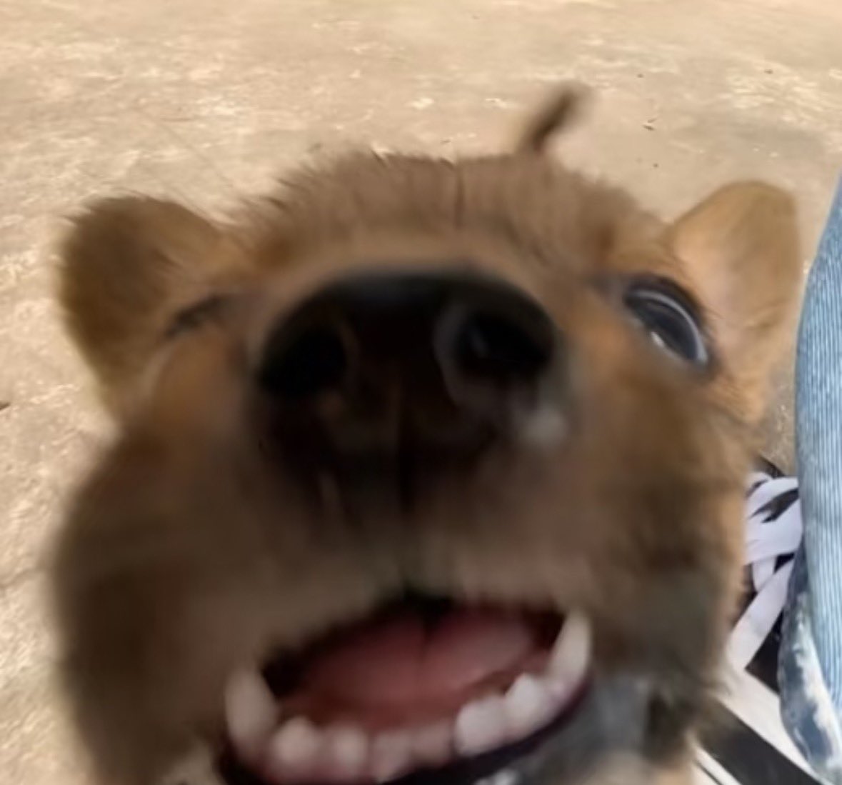 twaniimals's tweet photo. https://t.co/0WG4Ydg8c7