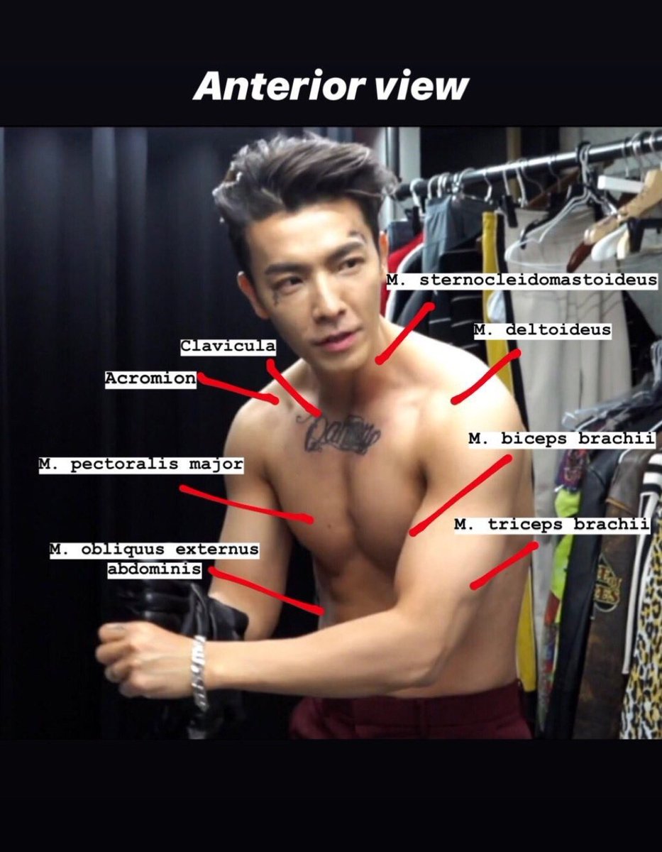 autia 🦭 tweet media