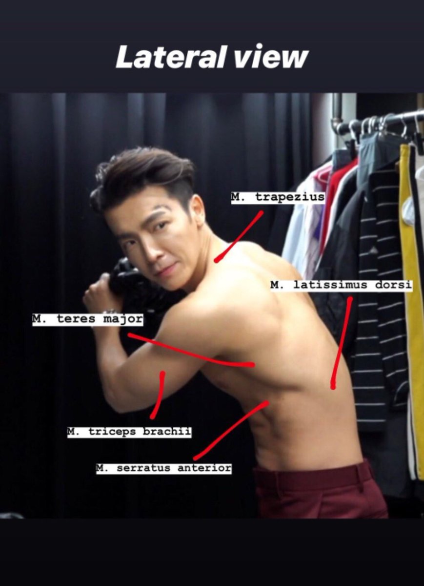 autia 🦭 tweet media