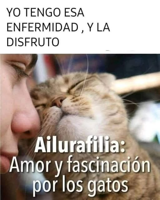 Patricio Escala (@sc_alapat) on Twitter photo 