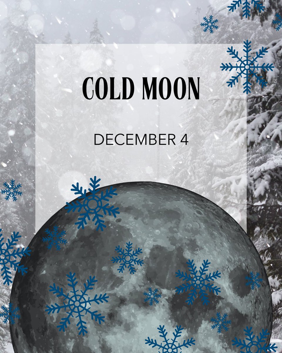 harvestmoonssi's tweet photo. The final full moon of 2025 rises tonight! The Cold Moon, gets its name from the deep winter chill that settles in December. This moon has traditionally marked a season of reflection and preparation for the long, quiet months ahead - a cosmic pause before the year winds down. 🌕 https://t.co/ki0L7u709Y