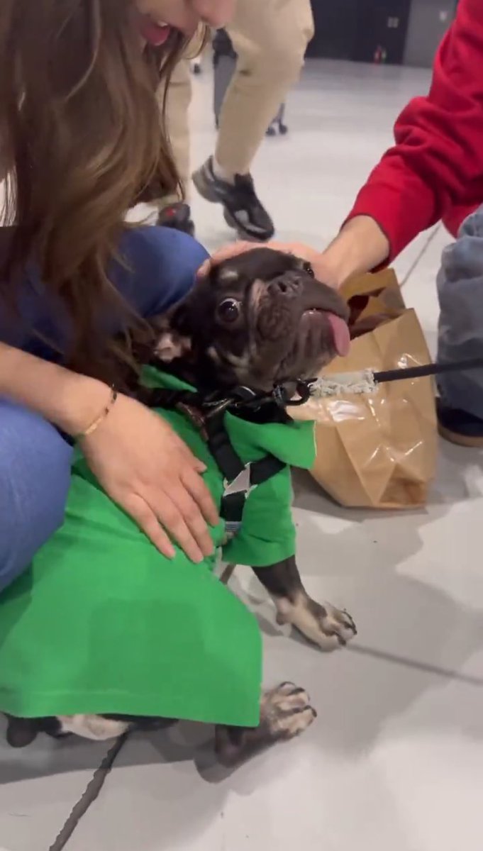 KhunSam91's tweet image. BonBon with Daday          Fluffy with Mami

Nobody touch me.

#FreenBecky #ฟรีนเบค #srchafreen #Beckysangels