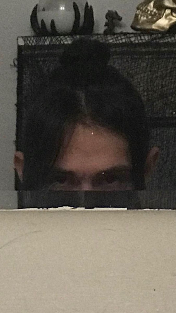 TerminalYapper's tweet image. Pics before i shave my head bald