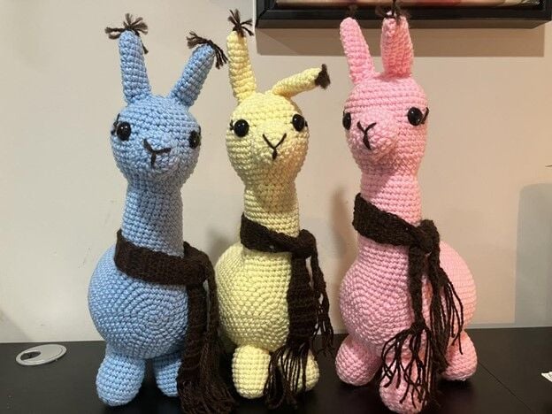 CitizenTribune's tweet image. Rose Center to host Holiday Craft Fair | Lifestyles | citizentribune.com
Dec 2, 2025
Saturday the sixth!
#nonprofit #supportlocalartists #crafts #crafting