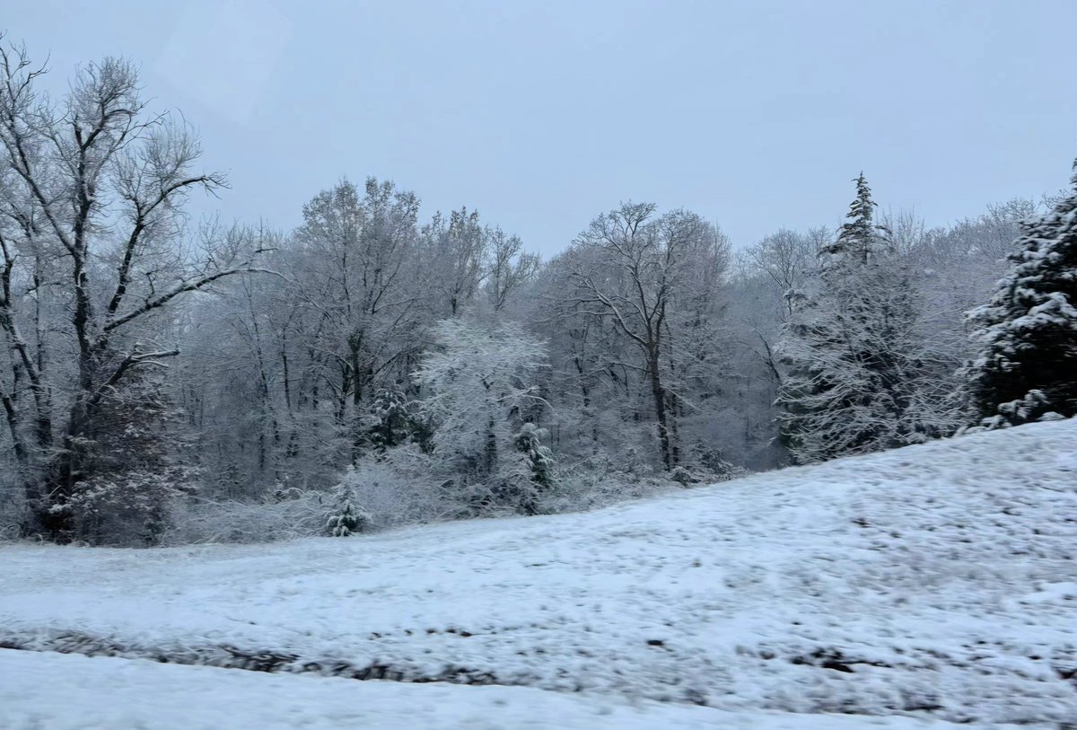 soothkeep's tweet image. On the way to the Dallas airport, with just enough snow to enjoy the beauty of it. ❄️ 

One of the first events this trip will be with J.B. Hixson on Saturday night at Plum Creek Chapel. Lee will be giving a 45 minute presentation followed by 45 minutes of Q&amp;amp;A.

Join us via…