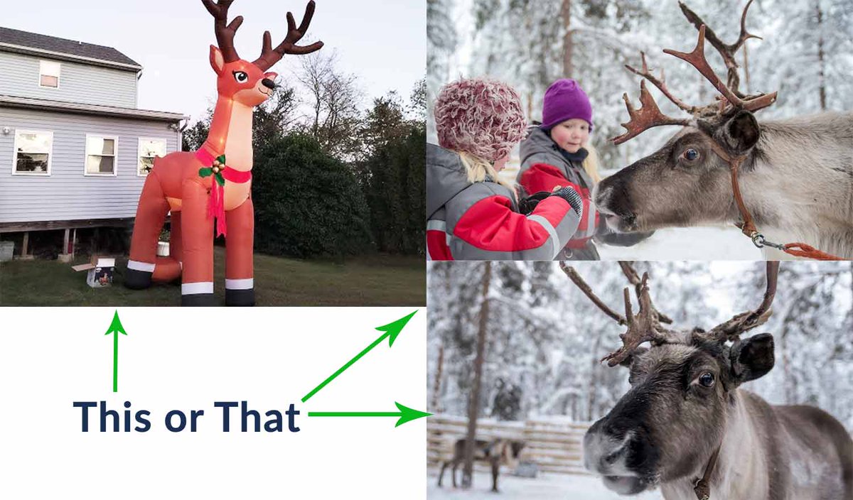 ColoLP303's tweet image. It's that reindeer time of year Coloradans.  
artificial or real for the kids?  #reindeer #santasvillage #coalmont #reindeerranch