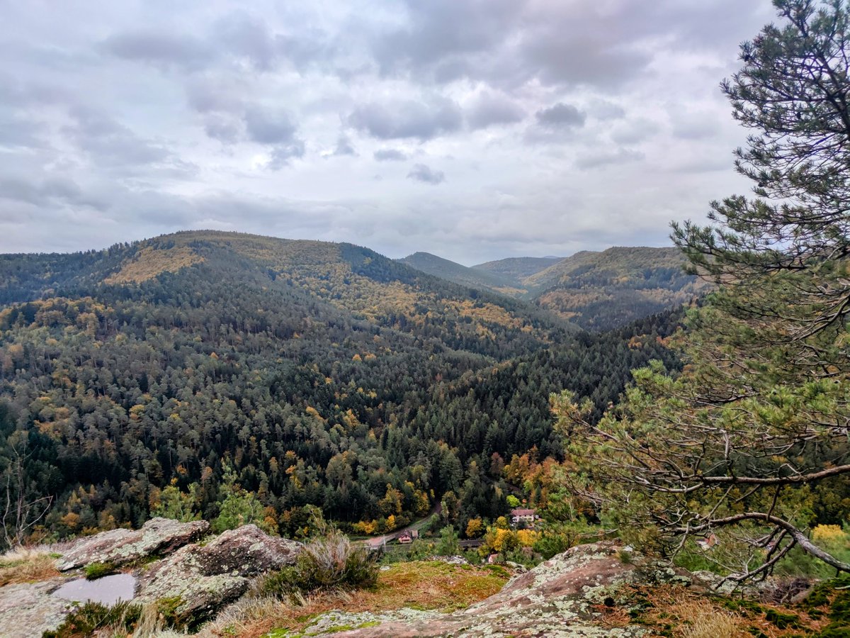 Wanderung in den Nordvogesen bei Saverne is.gd/qKKhlt