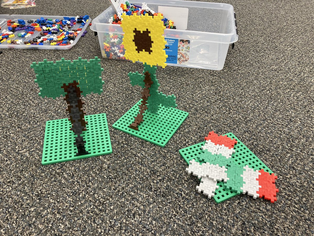 Carrie Mateja tweet media