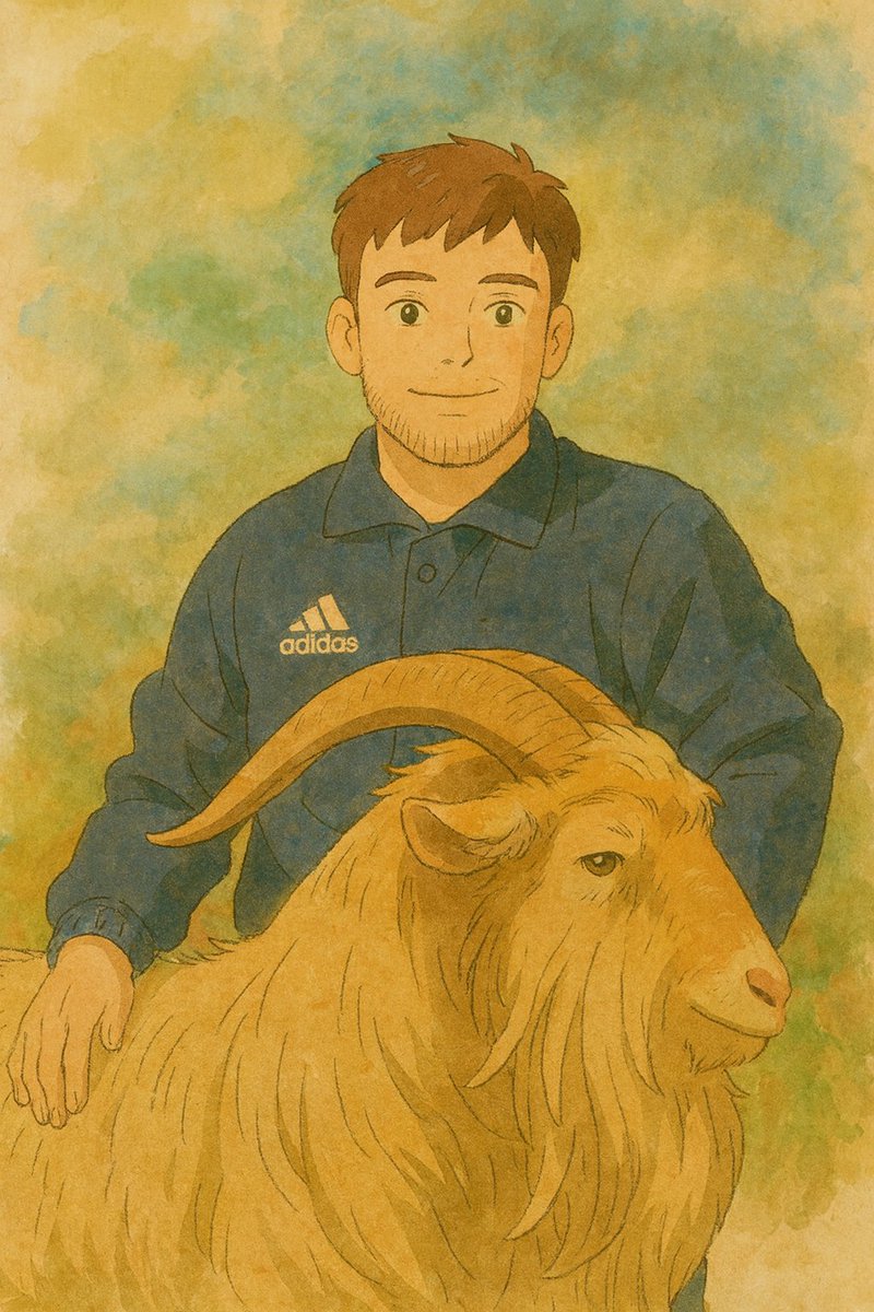 Memes Navarros HC tweet media