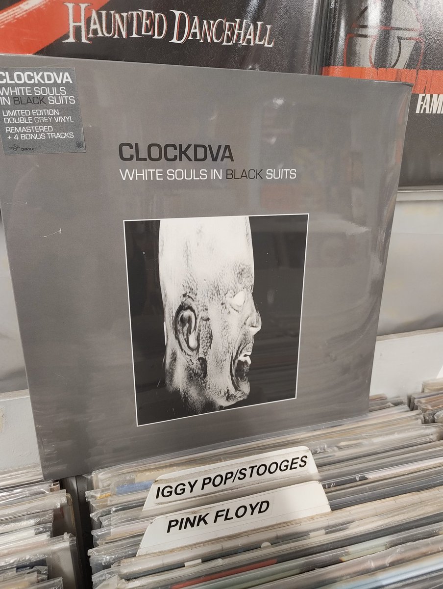 Record Collector tweet media