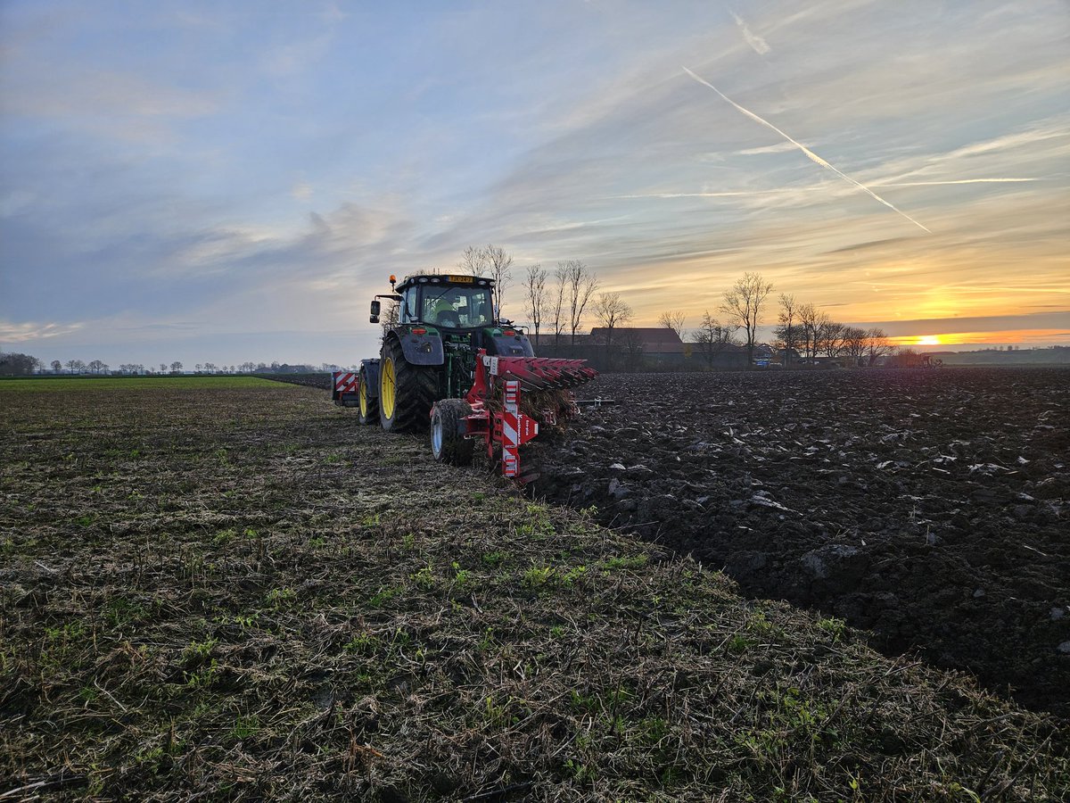 Michiel van Andel tweet media