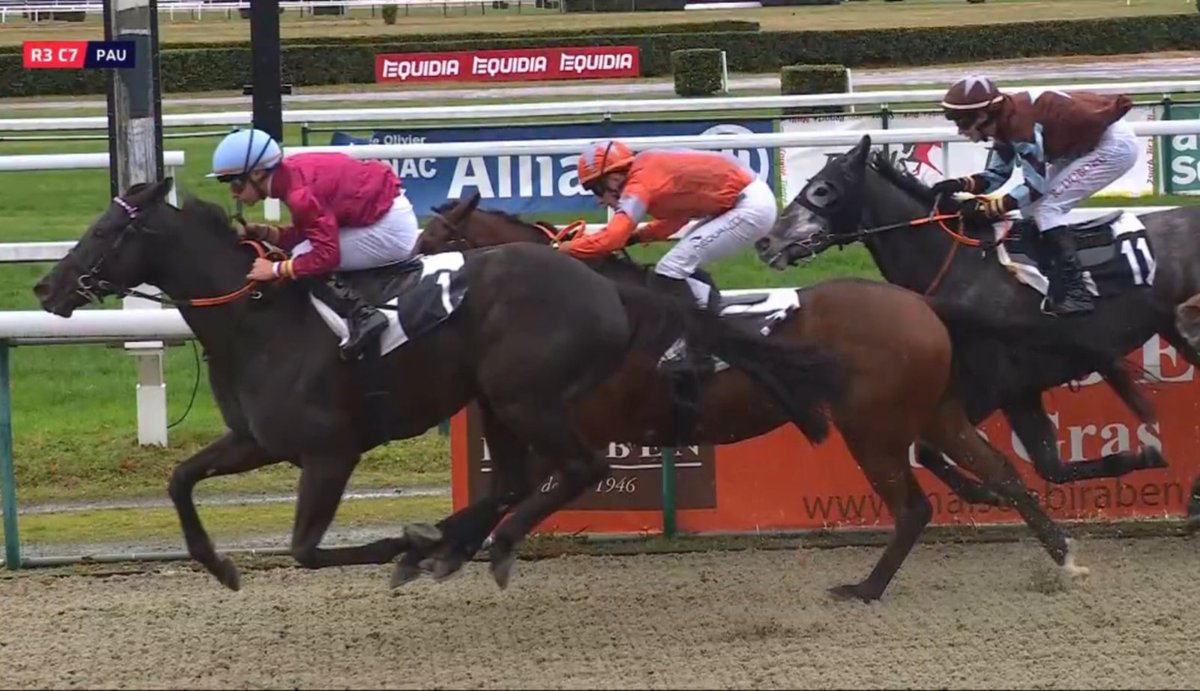 Carlos Miguel tweet media