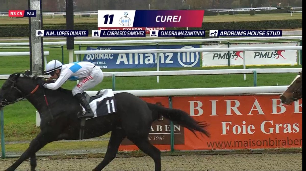 Carlos Miguel tweet media