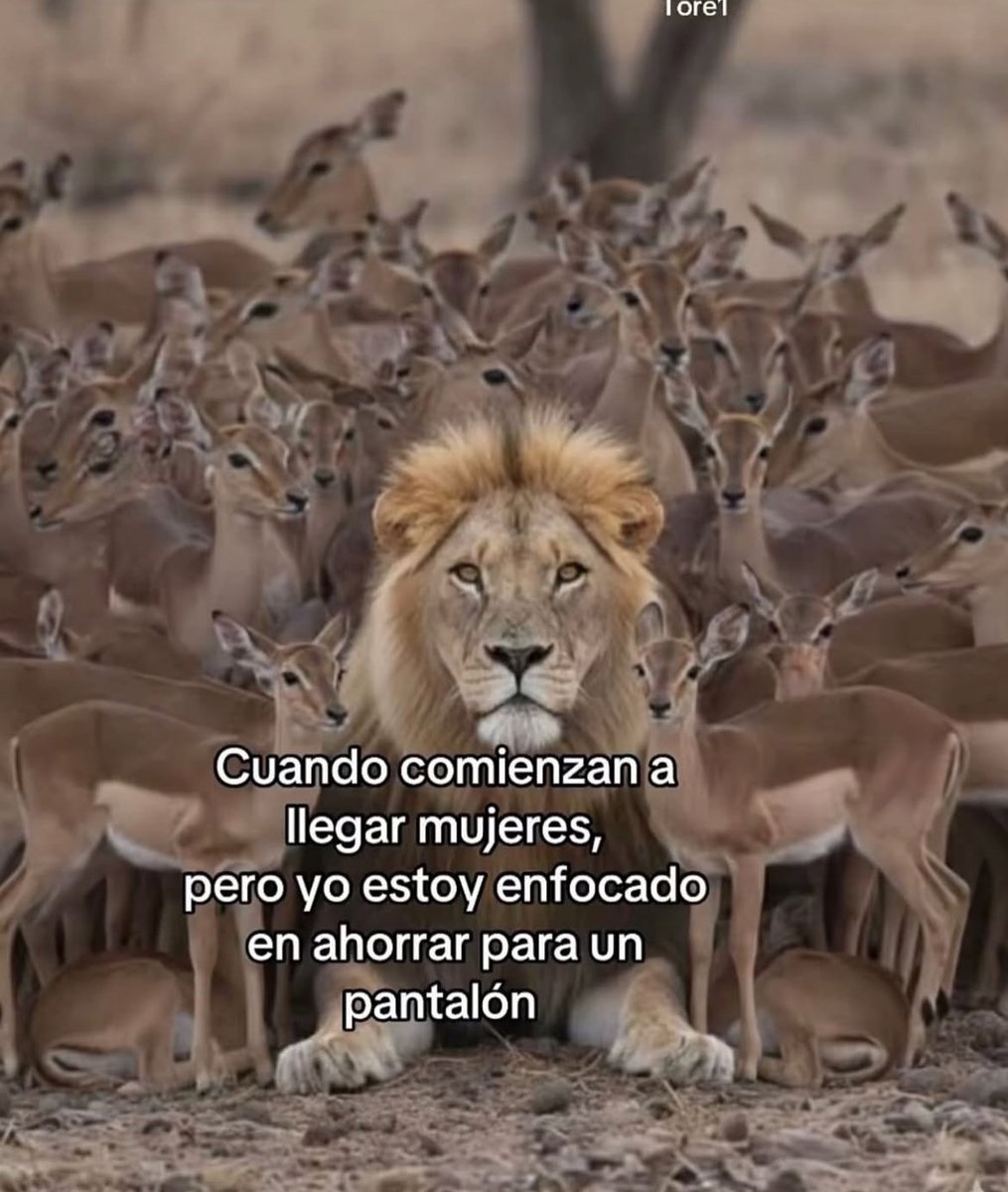 AlexisBauGal's tweet photo. https://t.co/hHvEHy5Km9