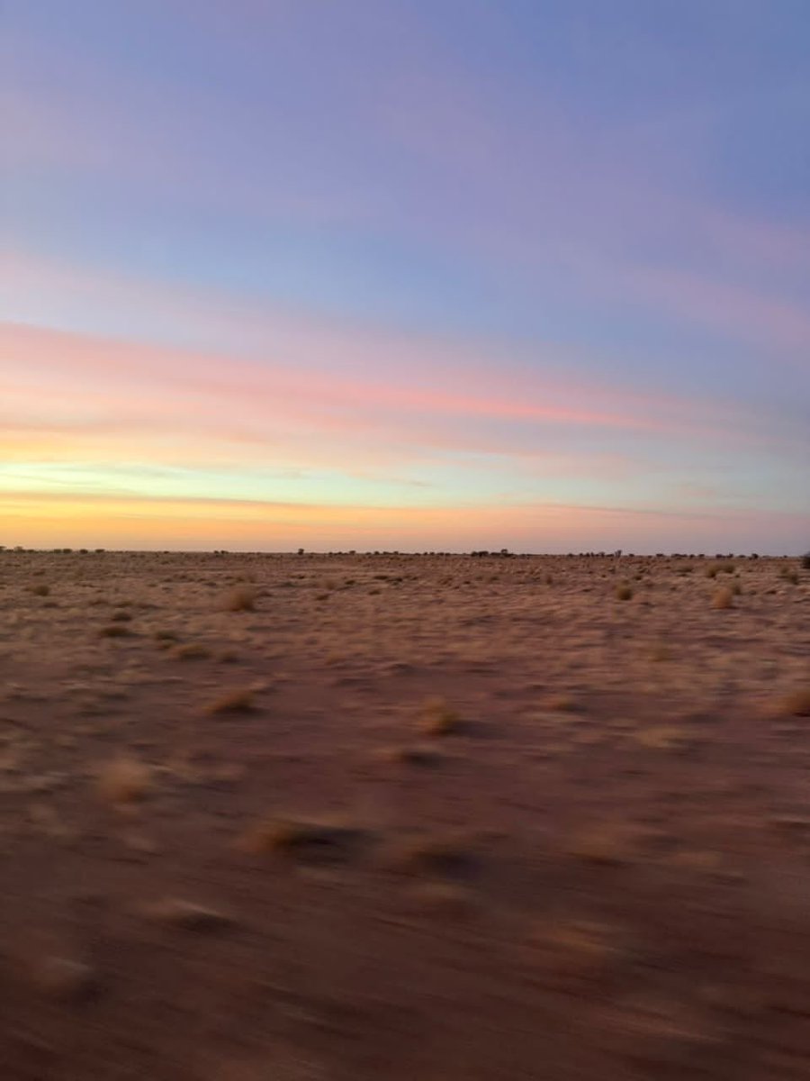 Ne ratez pas le Festival de l'Aïr 2025