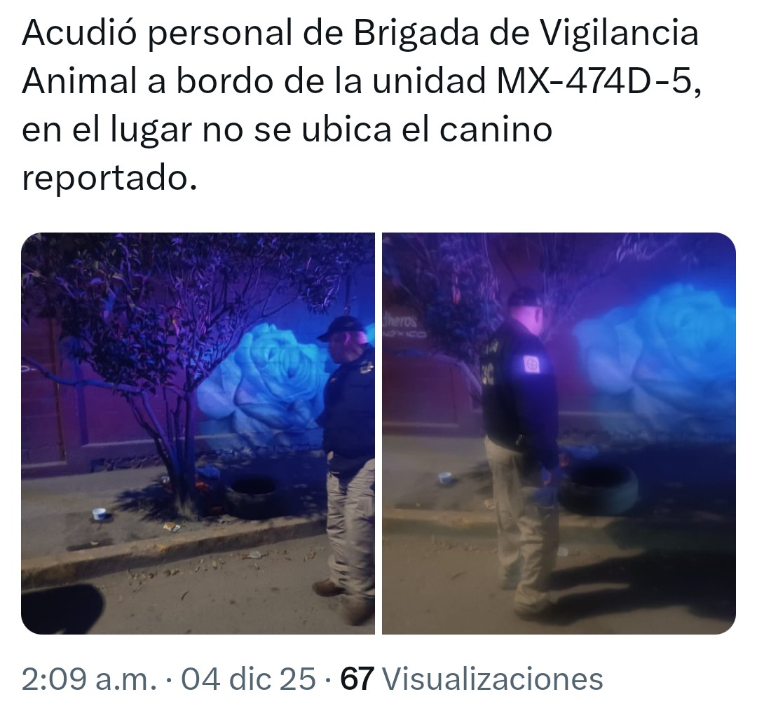 Reportaje Urbano tweet media