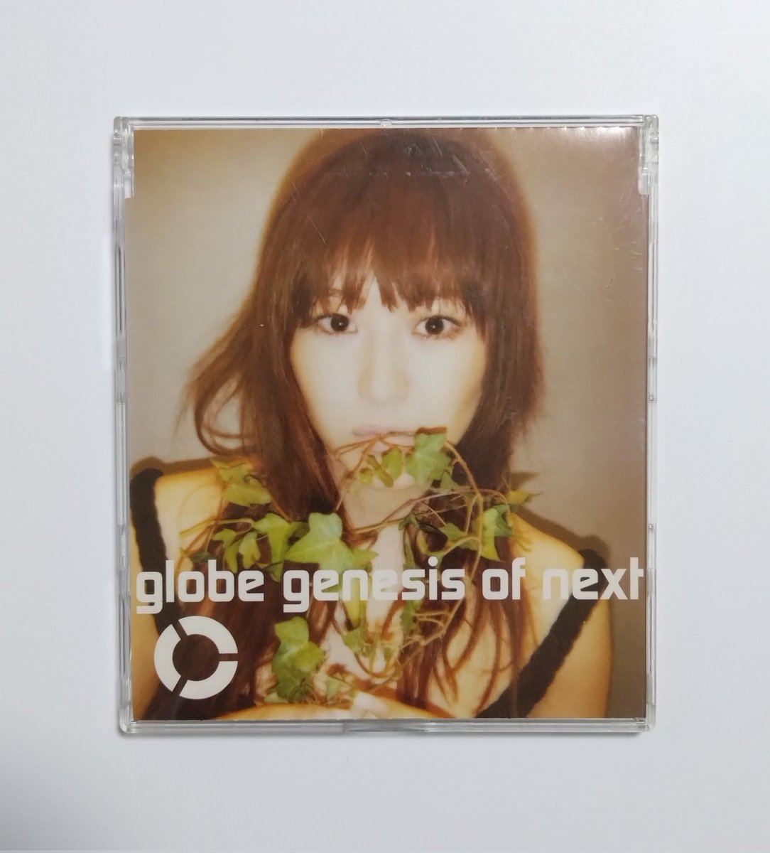 globe garden レコード lp 小室哲哉 非売品 globe garden レコード lp