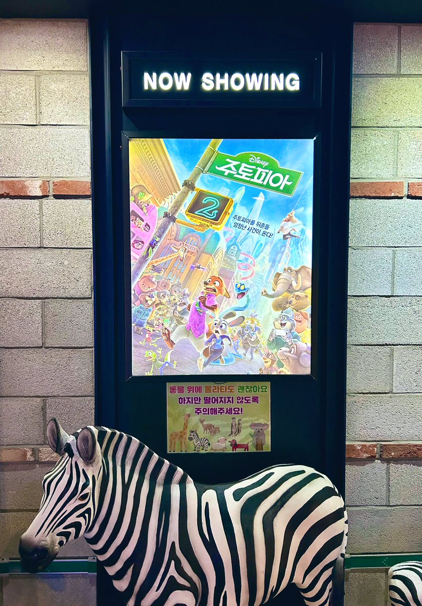 동물 영화는 동물과 함께 🦝