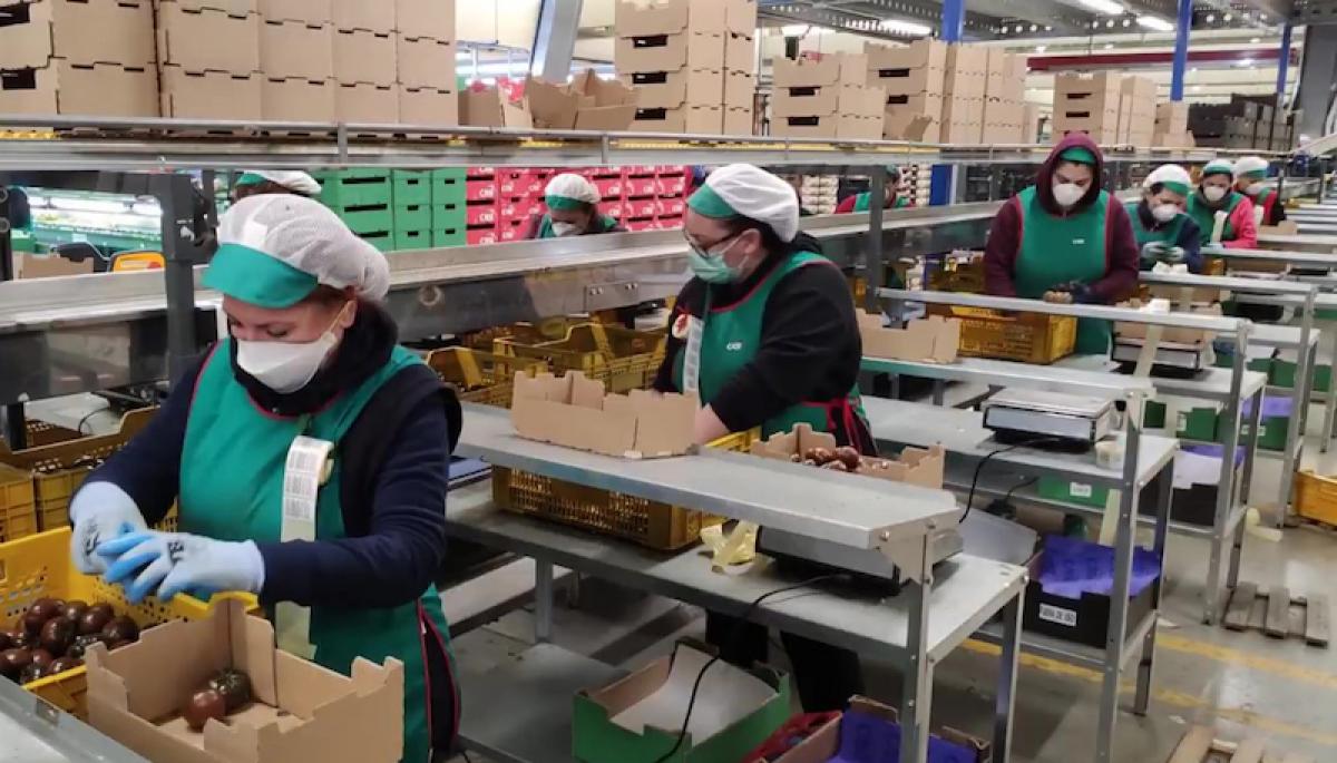 👍Desconvocada la huelga del sector del manipulado tras alcanzarse un acuerdo salarial 
💵El acuerdo se ha cerrado con una subida salarial y el reconocimiento de atrasos
+INFO  andalucia.ccoo.es/noticia:744072