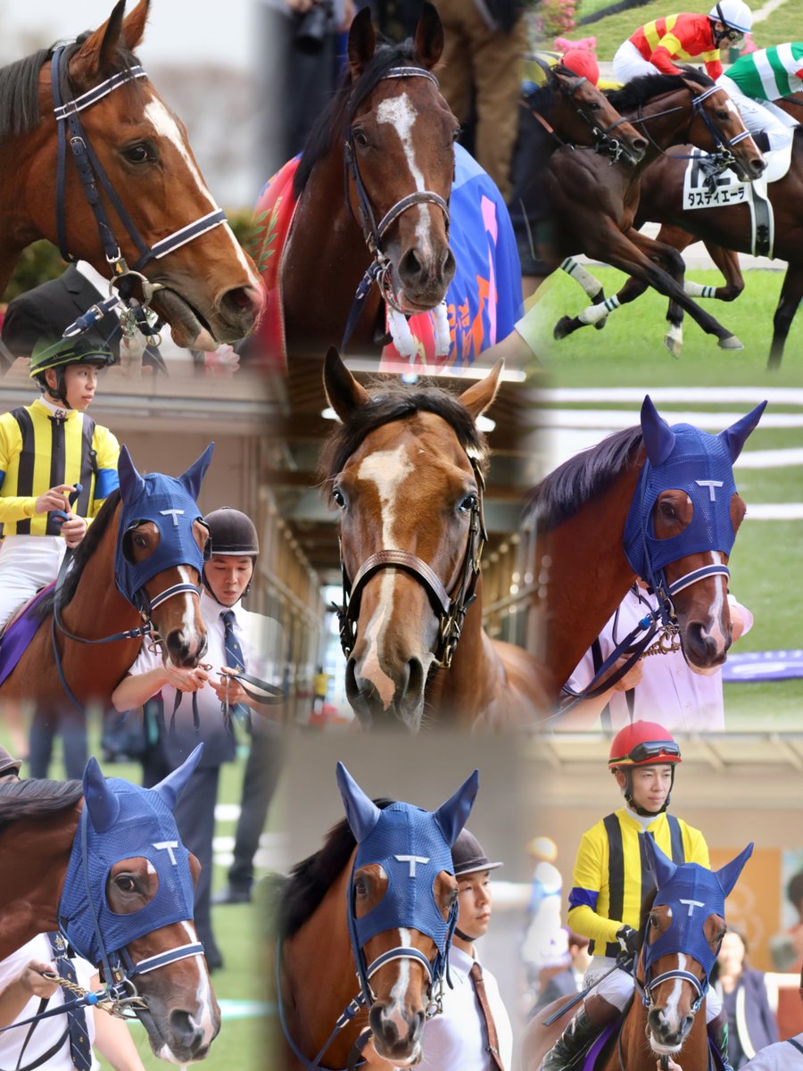 E3%82%BD%E3%83%BC%E3%83%AB%E3%82%AA%E3%83%AA%E3%82%A8%E3%83%B3%E3