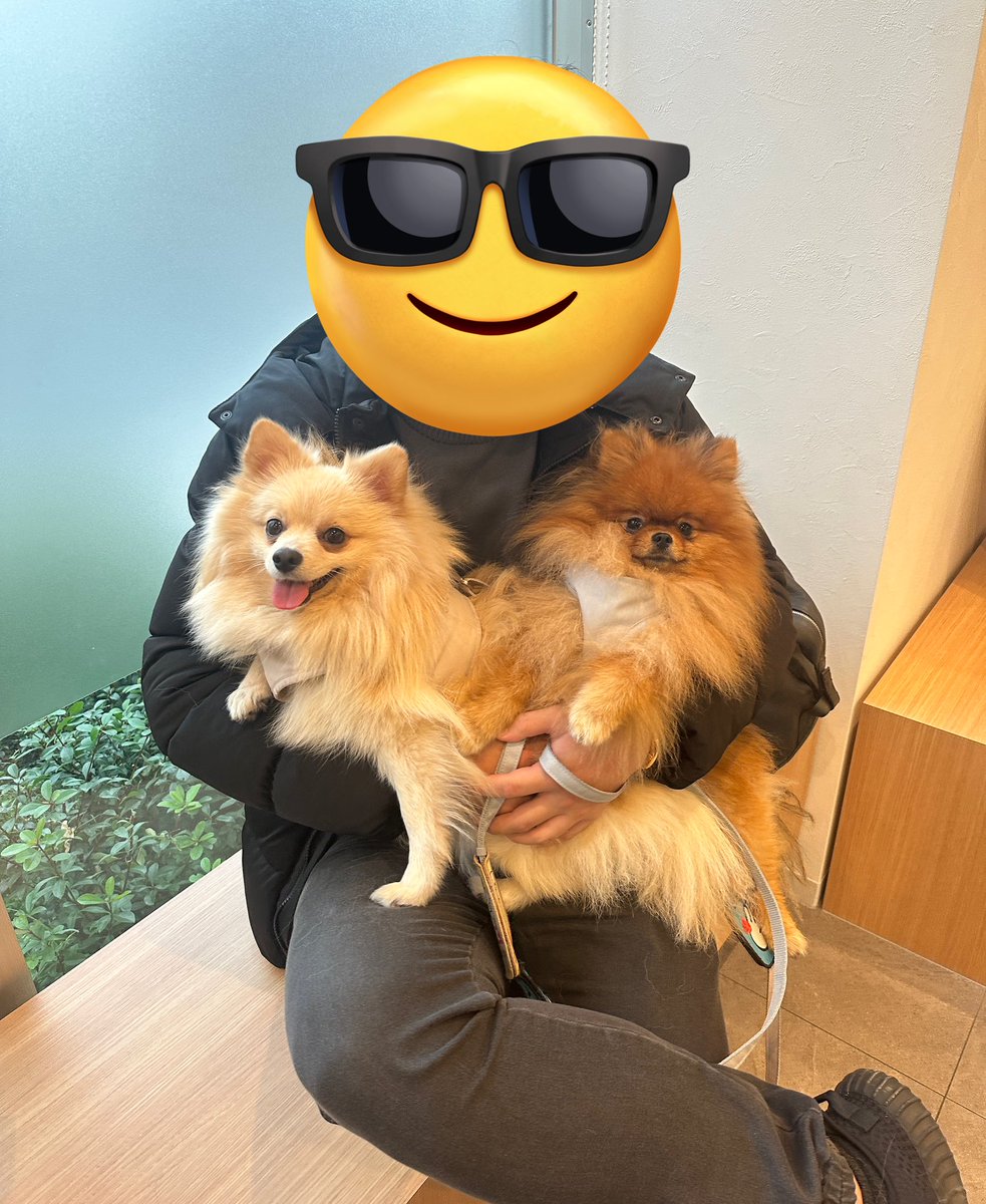 ミルモとポン！ (@mirumo__pon) / Posts / X