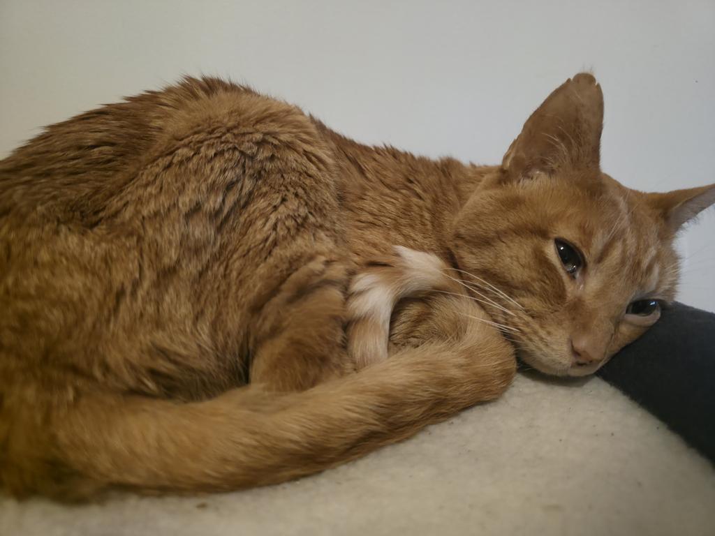 I thought with time would be more easy, but I was wrong... I fucking miss you... a lot 😢