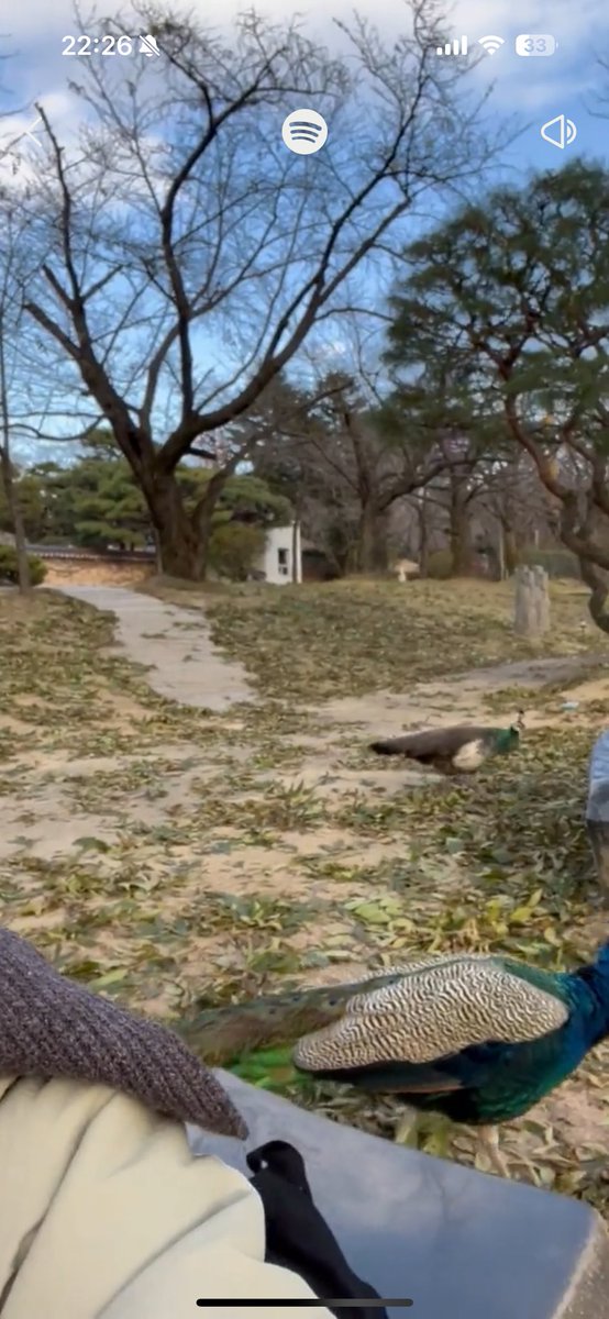 역시 최애 팟캐는
여둘톡

근데
공작 뭐에여 키우시는거에여?