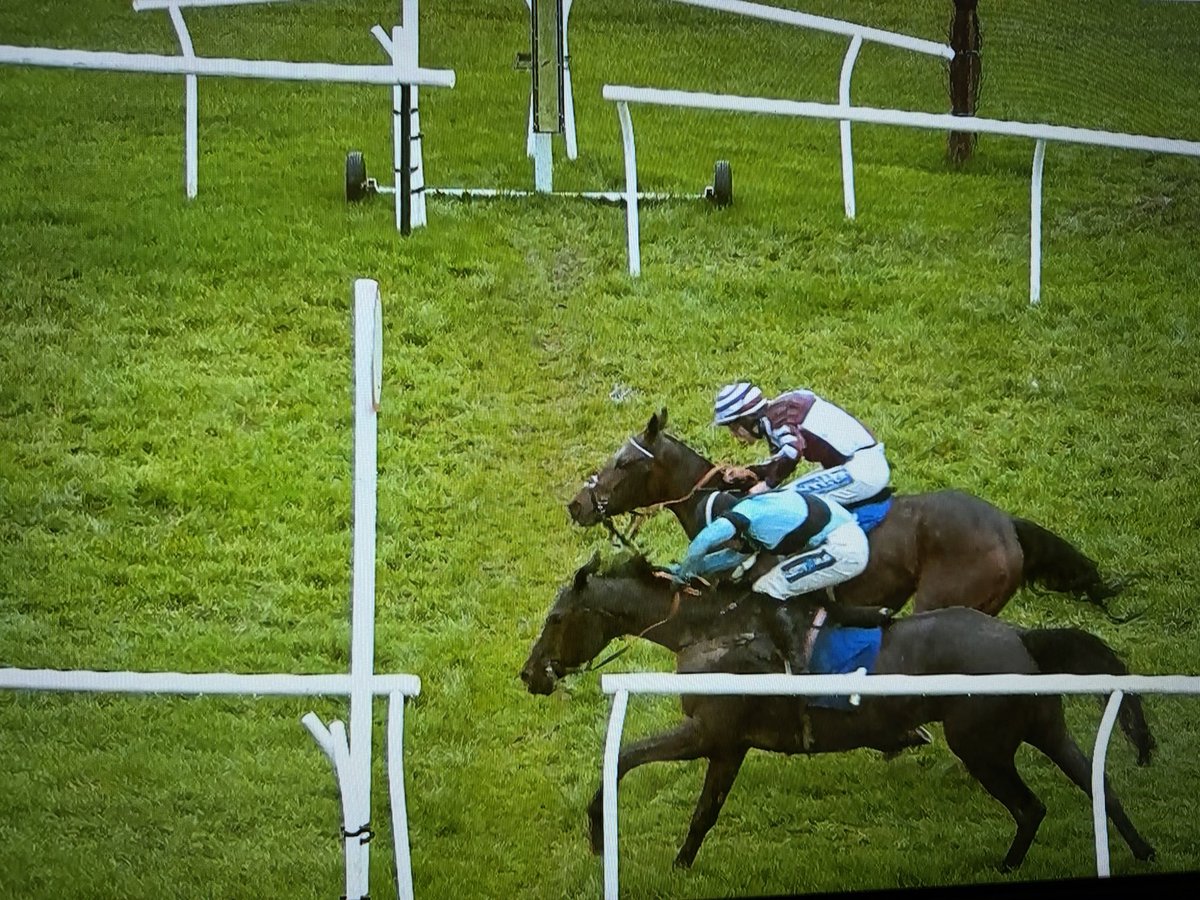 TMBloodstock's tweet image. Three in a row for Roe And Co who nicks it on the post at Leicester! Congratulations to @jamiesnowden @Joe_Anderson17 and all connections. 🔵⚫️
The Malinas gelding was bought @TattsCheltenham