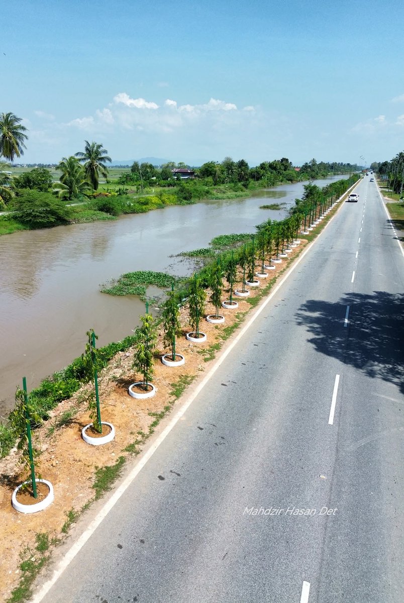 FaktaBukanAuta's tweet photo. Ingat lagi tragedi kereta Iswara jatuh Sungai Korok Julai lepas hingga korbankan 6 beranak?

Bulan lepas agensi Kerajaan Pusat siap pasang lampu solar.

Bulan ni pula PBT Negeri mai tanam pokok buluh.

Kerjasama "G2G" begini yg kita tuntut!

Akhirnya yg buleh untung adalah rakyat. 💪🏻

📷 Mahdzir Hasan Det