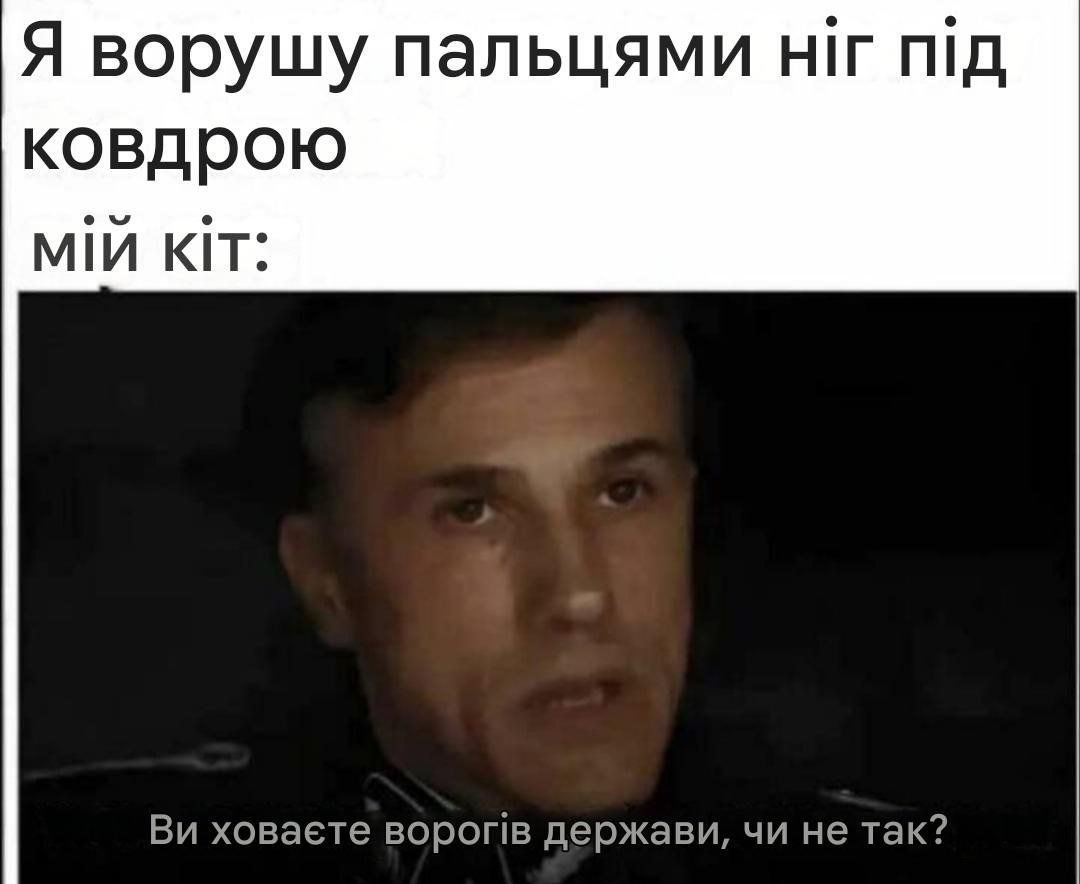 qwest__'s tweet image. 😸