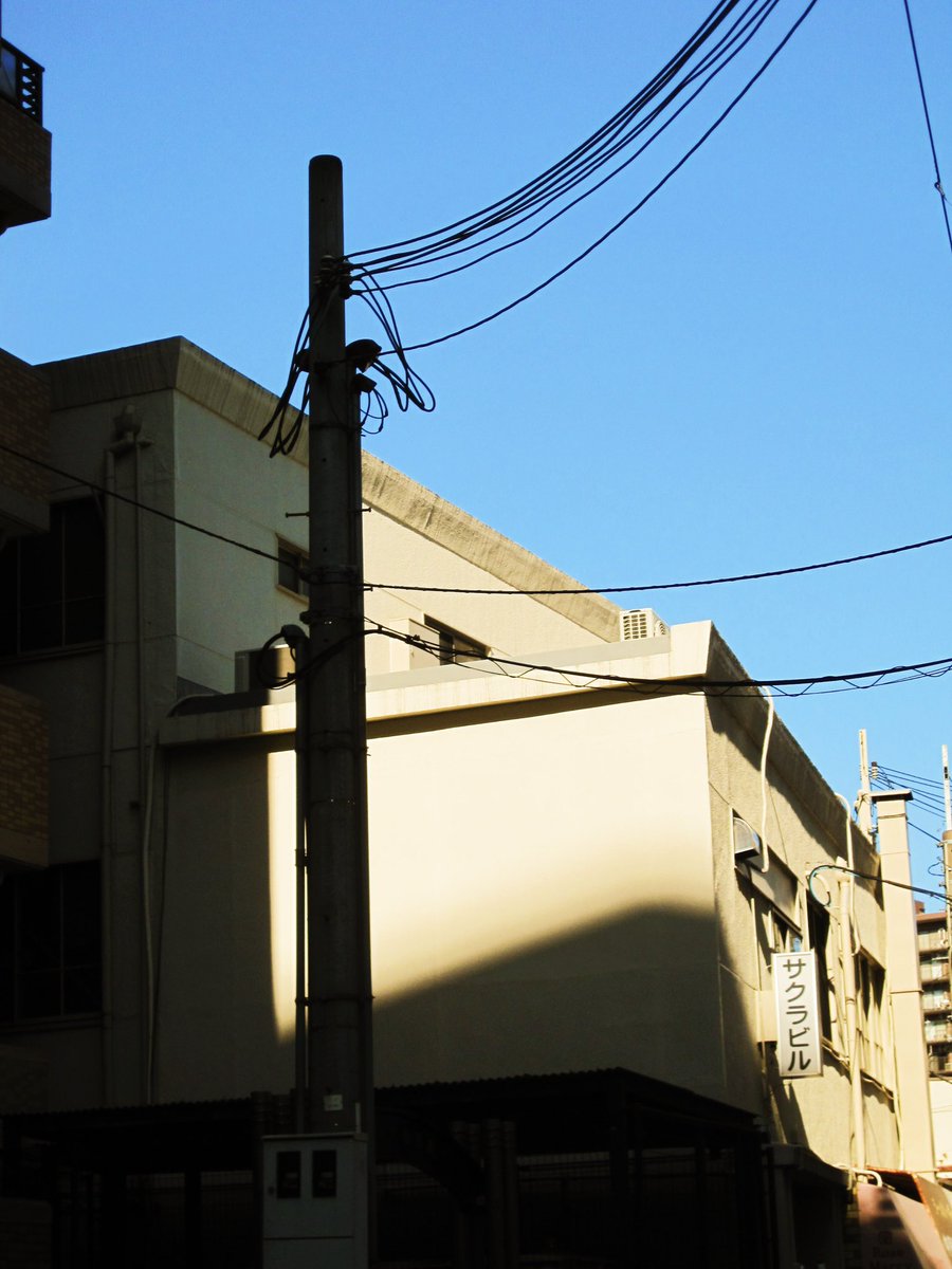 hidakarin08's tweet photo. 好きな景色と出会えた時にすぐに好きな人に見せたくなる。

#写真好きな人と繋がりたい 
#写真撮ってる人と繫がりたい https://t.co/UgP8br9EvK