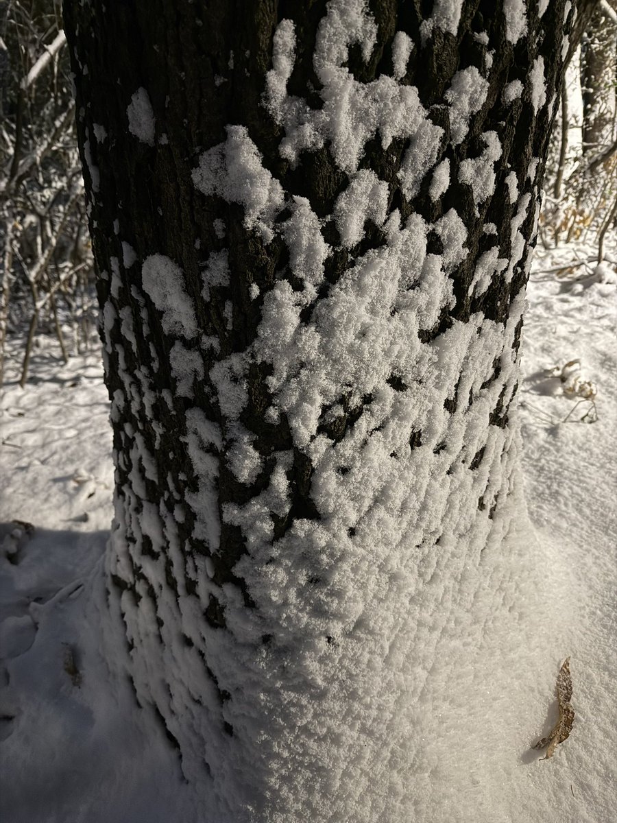 불꿈(Dreaming FI) tweet media