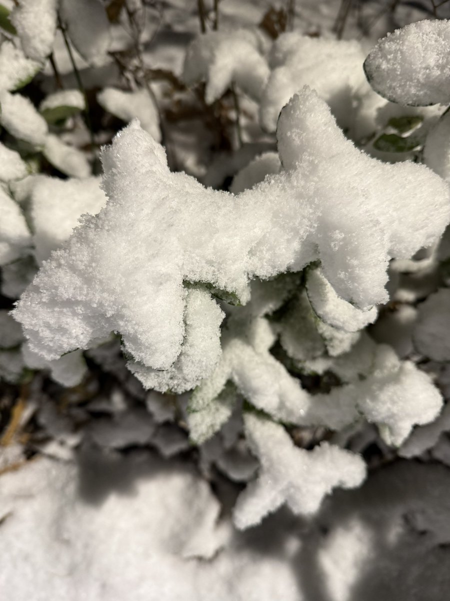 불꿈(Dreaming FI) tweet media