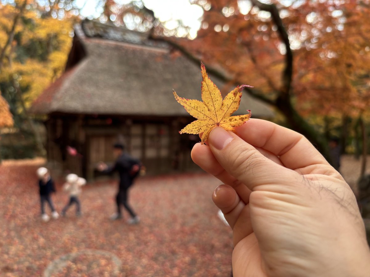 一些秋天
