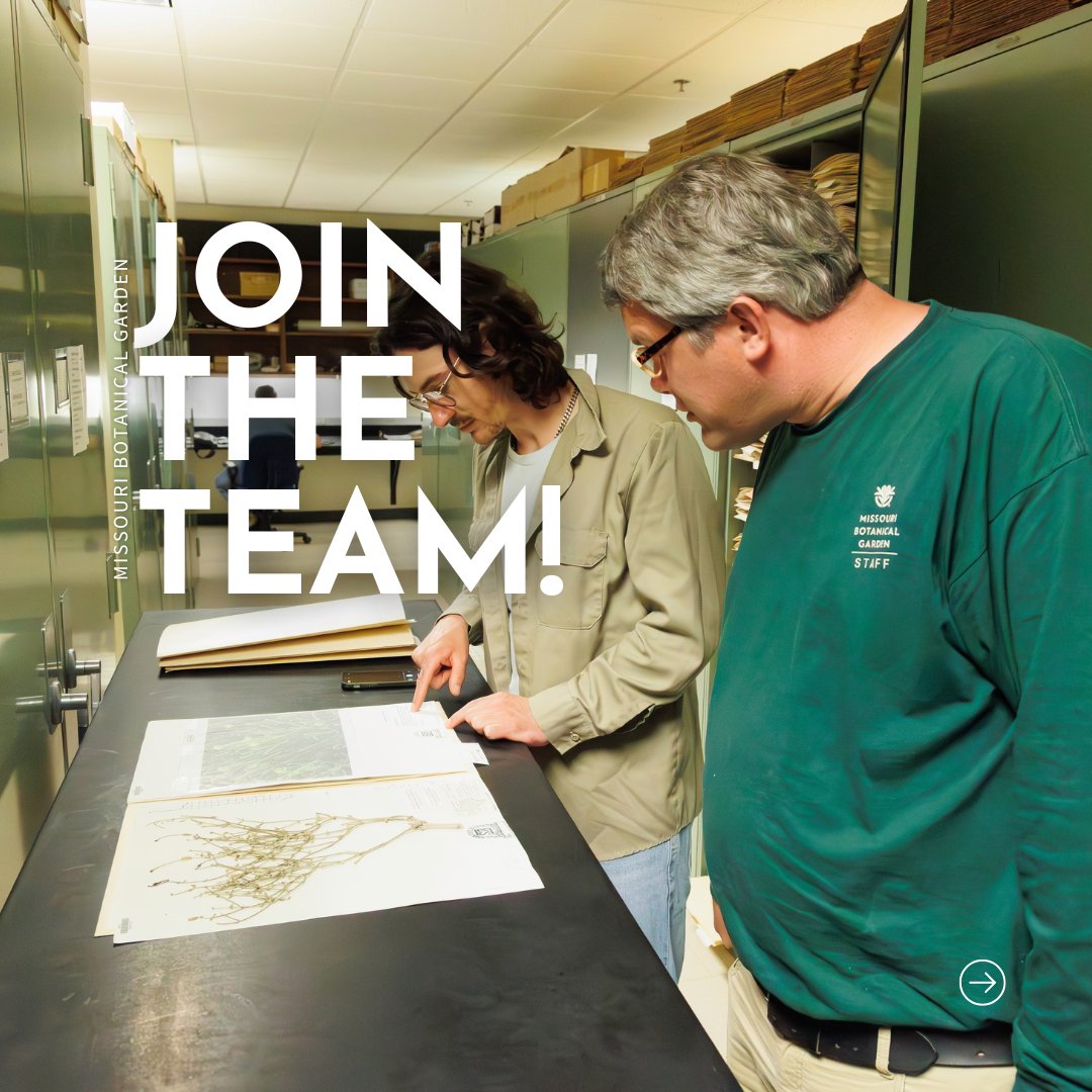 mobotgarden's tweet image. Come grow with us at #MOBOT! The Garden now has openings in various departments including:
⭐ Horticulture
⭐ Security
⭐ Plant Sciences
⭐ And more!

Learn more &amp;amp; apply today: buff.ly/nv5wY9b

📸 Nathan Kwarta

#MOBOTGarden #WereHiring