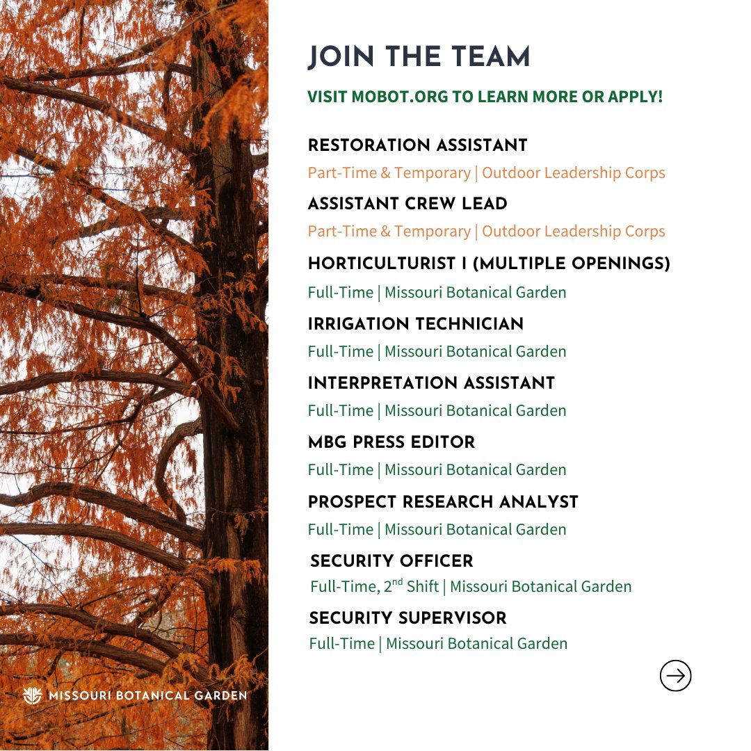 mobotgarden's tweet image. Come grow with us at #MOBOT! The Garden now has openings in various departments including:
⭐ Horticulture
⭐ Security
⭐ Plant Sciences
⭐ And more!

Learn more &amp;amp; apply today: buff.ly/nv5wY9b

📸 Nathan Kwarta

#MOBOTGarden #WereHiring