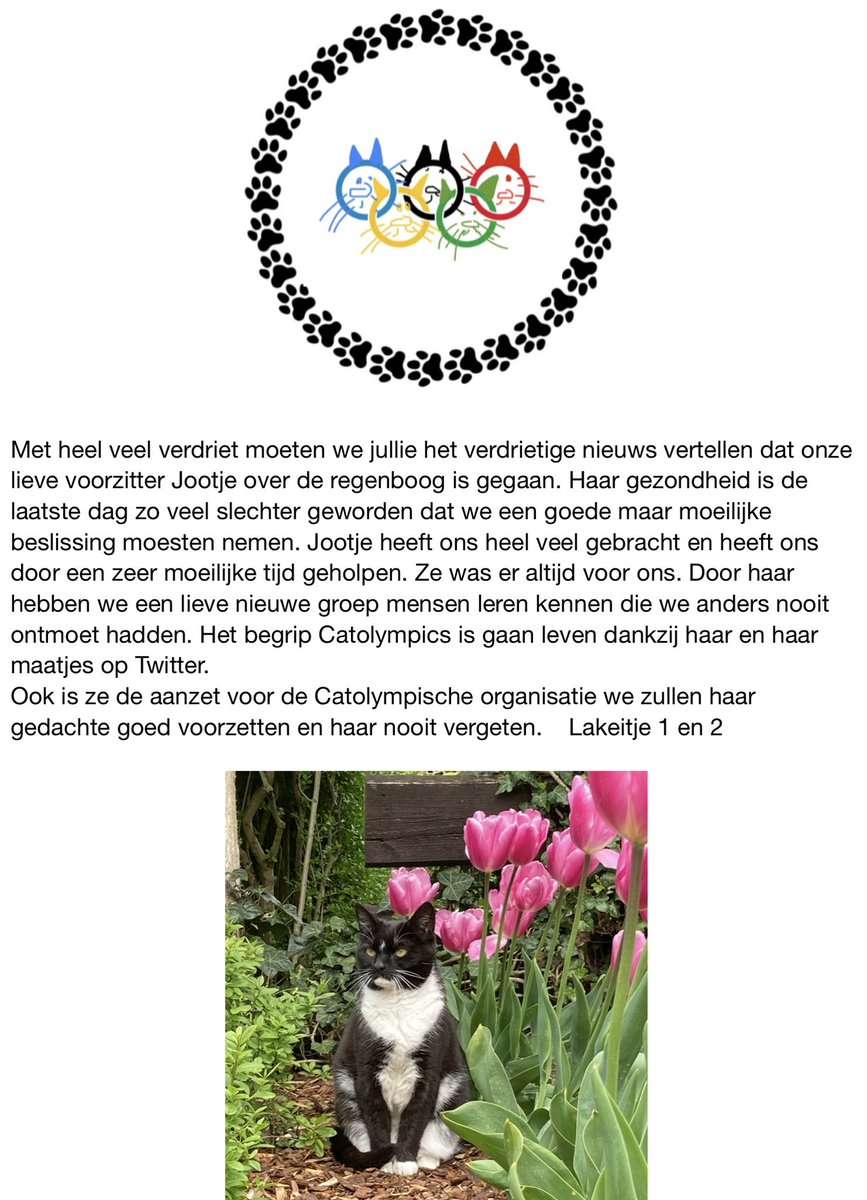 Catolympics Organisatie tweet media