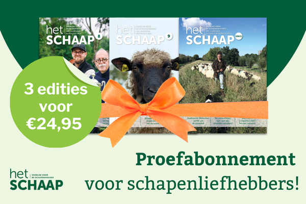 Op zoek naar een origineel december-cadeau? Tip: mijn.hetschaap.nl/abonnementen