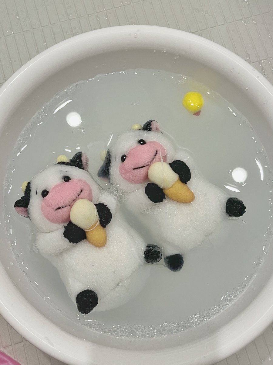 softushi3s's tweet photo. さっぱりｳｼ🫧🐄✨ https://t.co/HQbNAboVAi