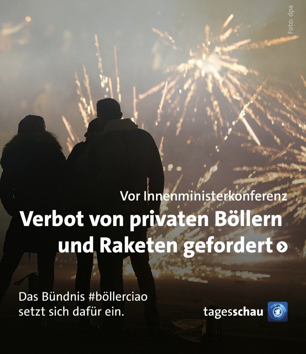 Jedes Jahr die gleiche Meldung.

Der Hauptteil der Bevölkerung ist für ein Böllerverbot, aber die deutschen Politiker interessiert das nicht.
