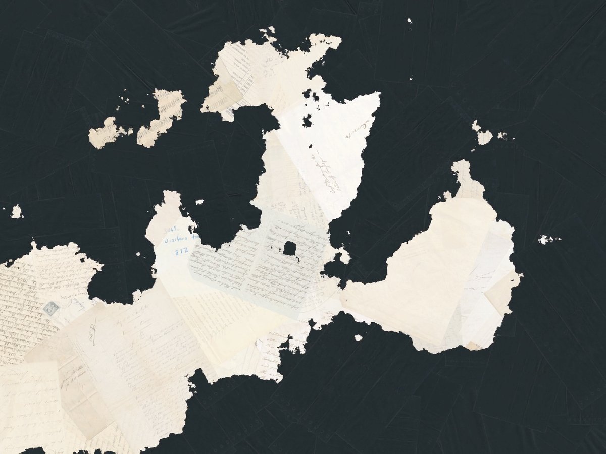 David Cass tweet media